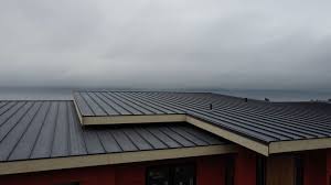 Fast & Reliable Emergency Roof Repairs in Big Pine, CA